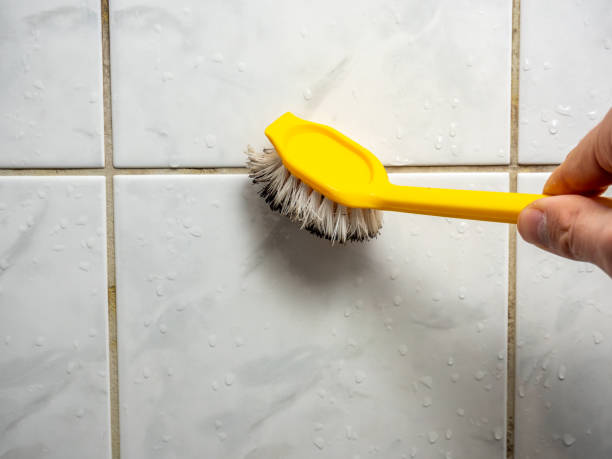 Best Black Mold Removal  in Sa Conejo, CA