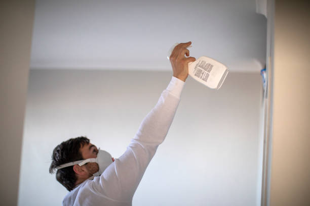 Best Office Mold Removal Services  in Sa Conejo, CA