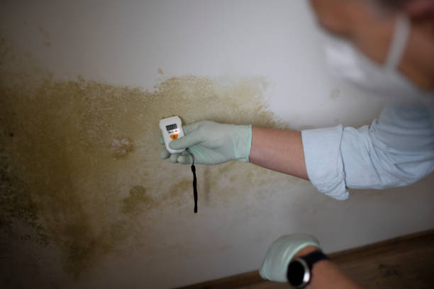 Best Crawl Space Mold Removal  in Sa Conejo, CA