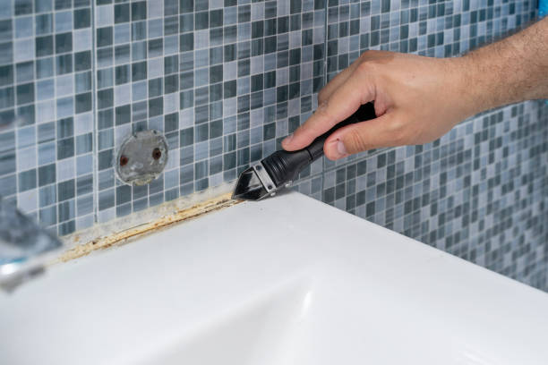 Best Mold Cleaning Services  in Sa Conejo, CA